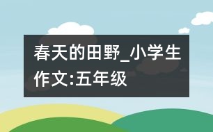 春天的田野_小學(xué)生作文:五年級(jí)