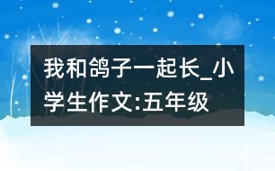 我和鴿子一起長_小學(xué)生作文:五年級