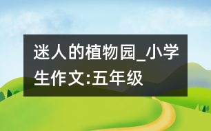 迷人的植物園_小學(xué)生作文:五年級(jí)