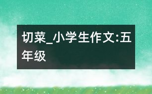 切菜_小學生作文:五年級
