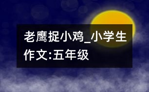 老鷹捉小雞_小學(xué)生作文:五年級