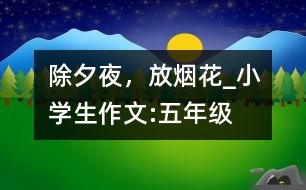 除夕夜，放煙花_小學(xué)生作文:五年級
