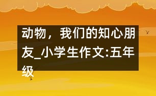 動物，我們的知心朋友_小學(xué)生作文:五年級