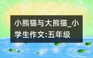 小熊貓與大熊貓_小學生作文:五年級