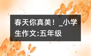 春天你真美！_小學(xué)生作文:五年級