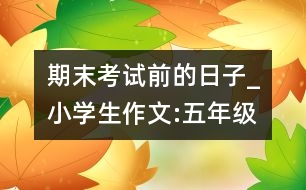 期末考試前的日子_小學(xué)生作文:五年級