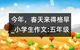 今年，春天來得格早_小學(xué)生作文:五年級(jí)