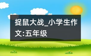 捉鼠大戰(zhàn)_小學生作文:五年級