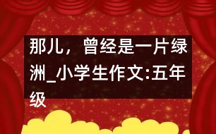 那兒，曾經(jīng)是一片綠洲_小學(xué)生作文:五年級(jí)