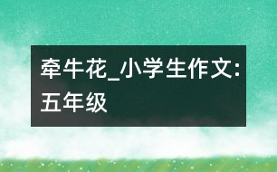 牽牛花_小學生作文:五年級