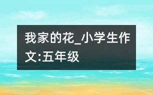 我家的花_小學生作文:五年級