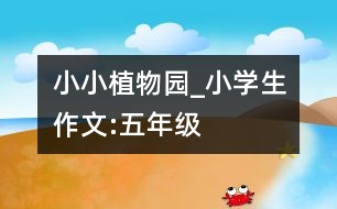 小小植物園_小學(xué)生作文:五年級