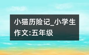 小貓歷險記_小學(xué)生作文:五年級