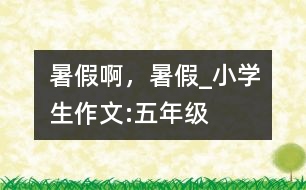 暑假啊，暑假_小學生作文:五年級