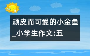 “頑皮”而可愛(ài)的小金魚(yú)_小學(xué)生作文:五年級(jí)