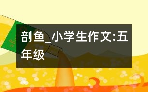 剖魚(yú)_小學(xué)生作文:五年級(jí)