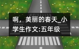 啊，美麗的春天_小學(xué)生作文:五年級
