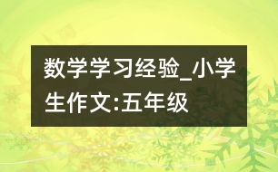 數學學習經驗_小學生作文:五年級
