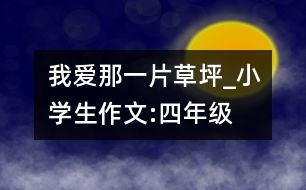 我愛那一片草坪_小學生作文:四年級