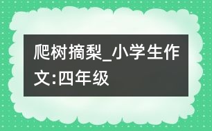 爬樹摘梨_小學(xué)生作文:四年級(jí)