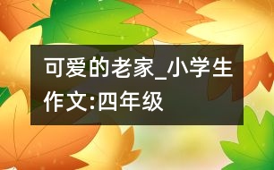 可愛的老家_小學生作文:四年級