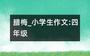 臘梅_小學(xué)生作文:四年級
