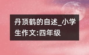 丹頂鶴的自述_小學(xué)生作文:四年級(jí)