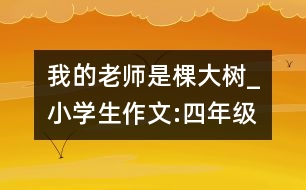我的老師是棵大樹(shù)_小學(xué)生作文:四年級(jí)