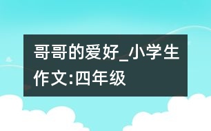 哥哥的愛好_小學(xué)生作文:四年級