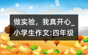 做實(shí)驗(yàn)，我真開心_小學(xué)生作文:四年級