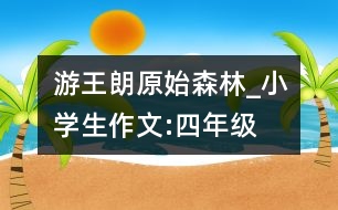 游王朗原始森林_小學(xué)生作文:四年級