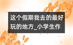 這個(gè)假期我去的最好玩的地方_小學(xué)生作文:四年級(jí)