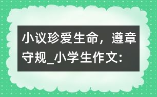 小議“珍愛生命，遵章守規(guī)”_小學生作文:四年級