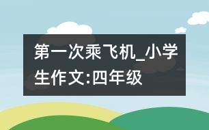 第一次乘飛機(jī)_小學(xué)生作文:四年級(jí)