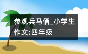 參觀兵馬俑_小學生作文:四年級