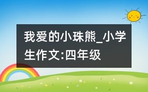 我愛(ài)的“小珠熊”_小學(xué)生作文:四年級(jí)
