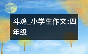 斗雞”_小學(xué)生作文:四年級