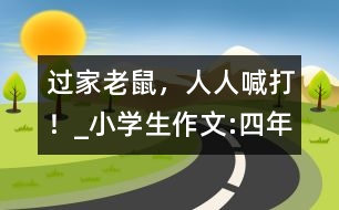 過(guò)“家”老鼠，人人喊打！_小學(xué)生作文:四年級(jí)