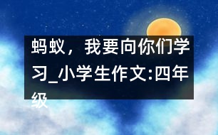 螞蟻，我要向你們學(xué)習(xí)_小學(xué)生作文:四年級