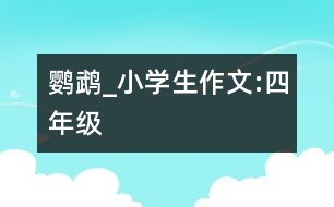 鸚鵡_小學(xué)生作文:四年級(jí)