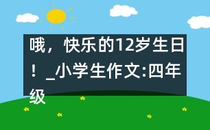 哦，快樂的12歲生日！_小學生作文:四年級