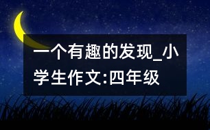 一個有趣的發(fā)現_小學生作文:四年級