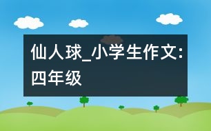 仙人球_小學(xué)生作文:四年級