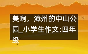 美啊，漳州的中山公園_小學(xué)生作文:四年級