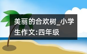 美麗的合歡樹(shù)_小學(xué)生作文:四年級(jí)
