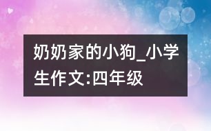 奶奶家的小狗_小學(xué)生作文:四年級