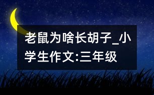 老鼠為啥長胡子_小學(xué)生作文:三年級