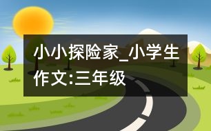 小小探險(xiǎn)家_小學(xué)生作文:三年級