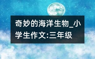 奇妙的海洋生物_小學生作文:三年級