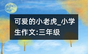 可愛的“小老虎”_小學(xué)生作文:三年級(jí)